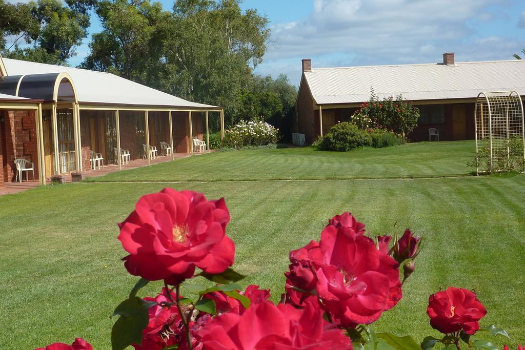 Coonawarra Place Motor Inn Kültér fotó