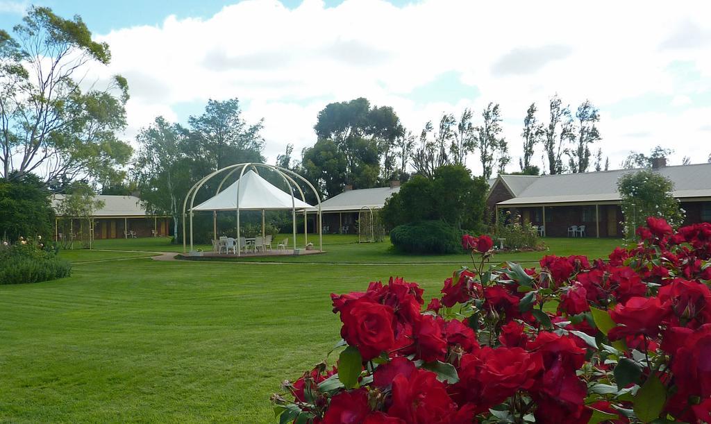 Coonawarra Place Motor Inn Kültér fotó