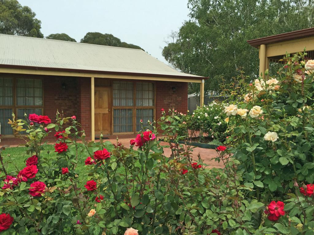 Coonawarra Place Motor Inn Kültér fotó