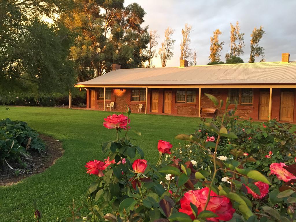 Coonawarra Place Motor Inn Kültér fotó