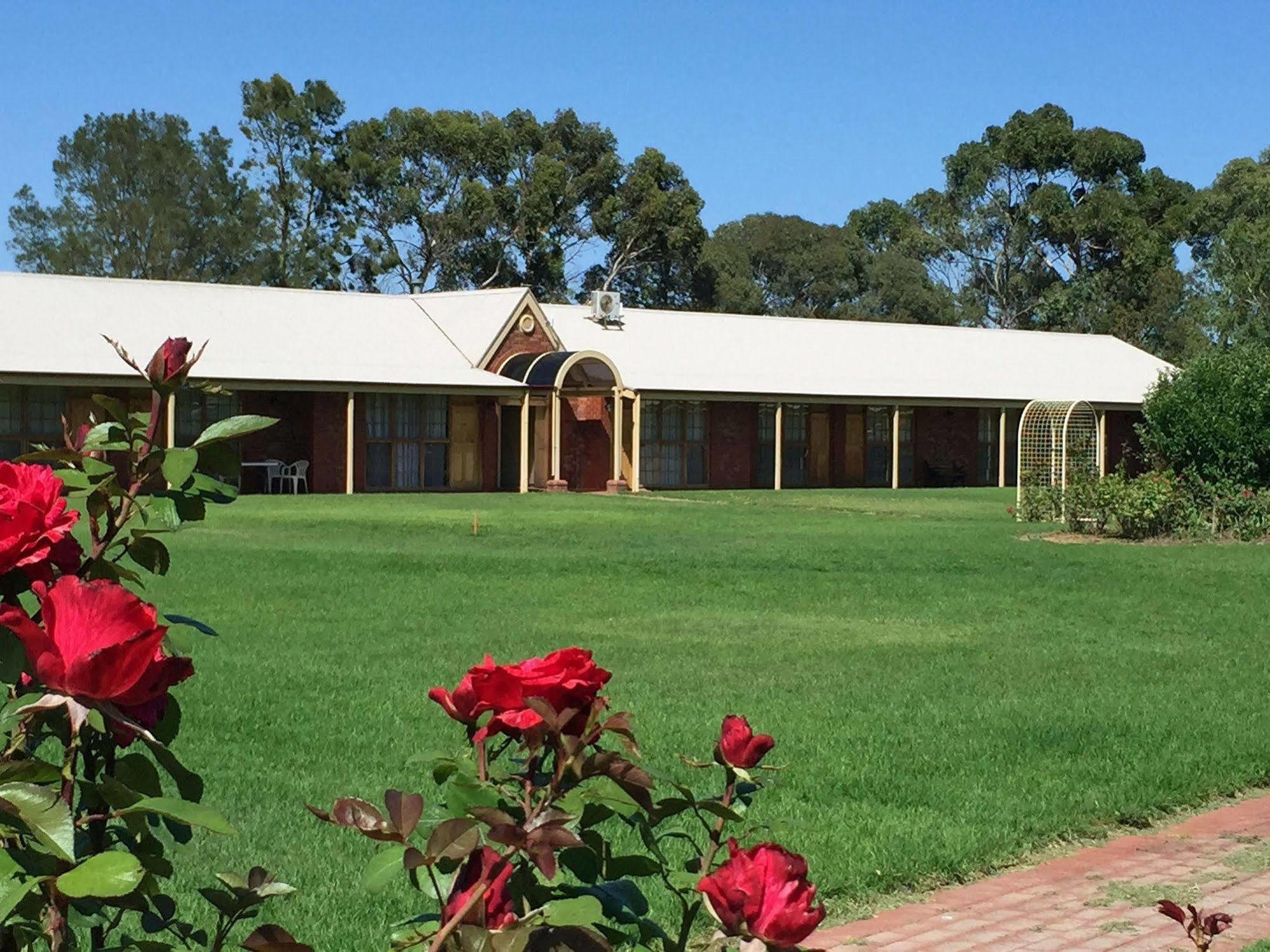 Coonawarra Place Motor Inn Kültér fotó