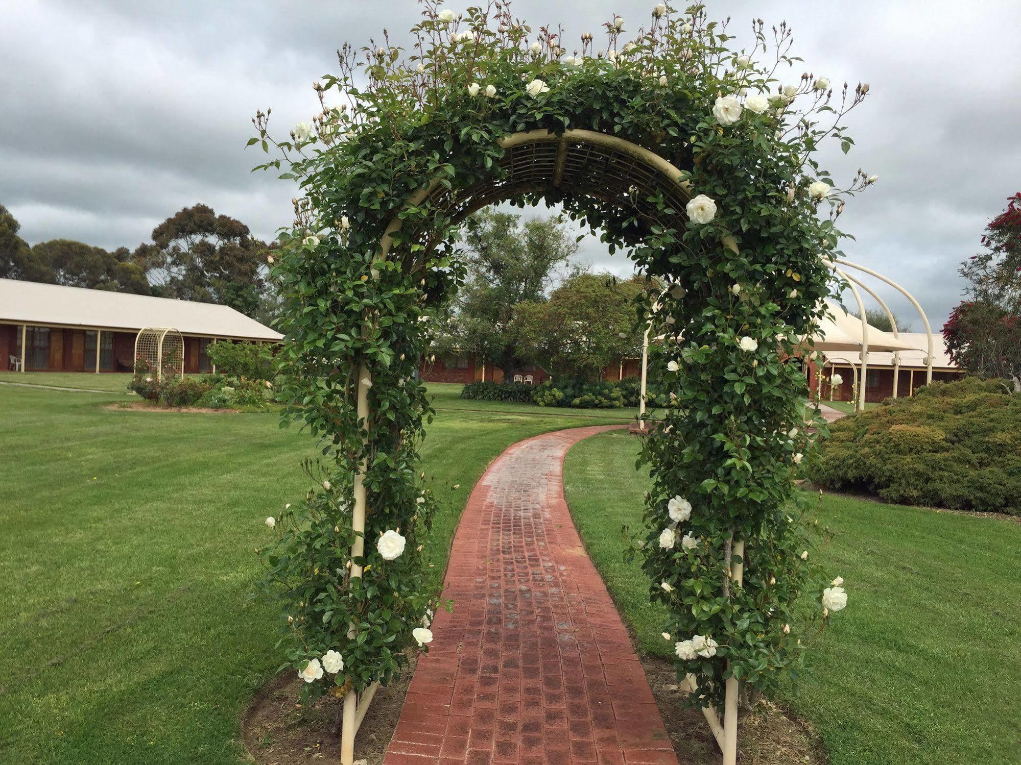 Coonawarra Place Motor Inn Kültér fotó