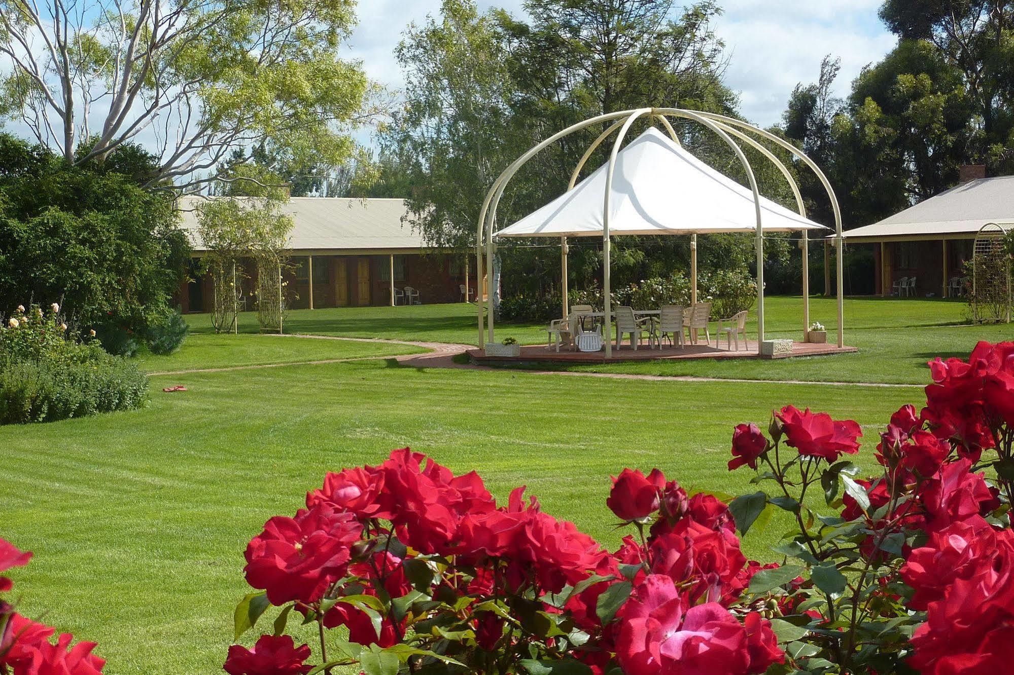 Coonawarra Place Motor Inn Kültér fotó