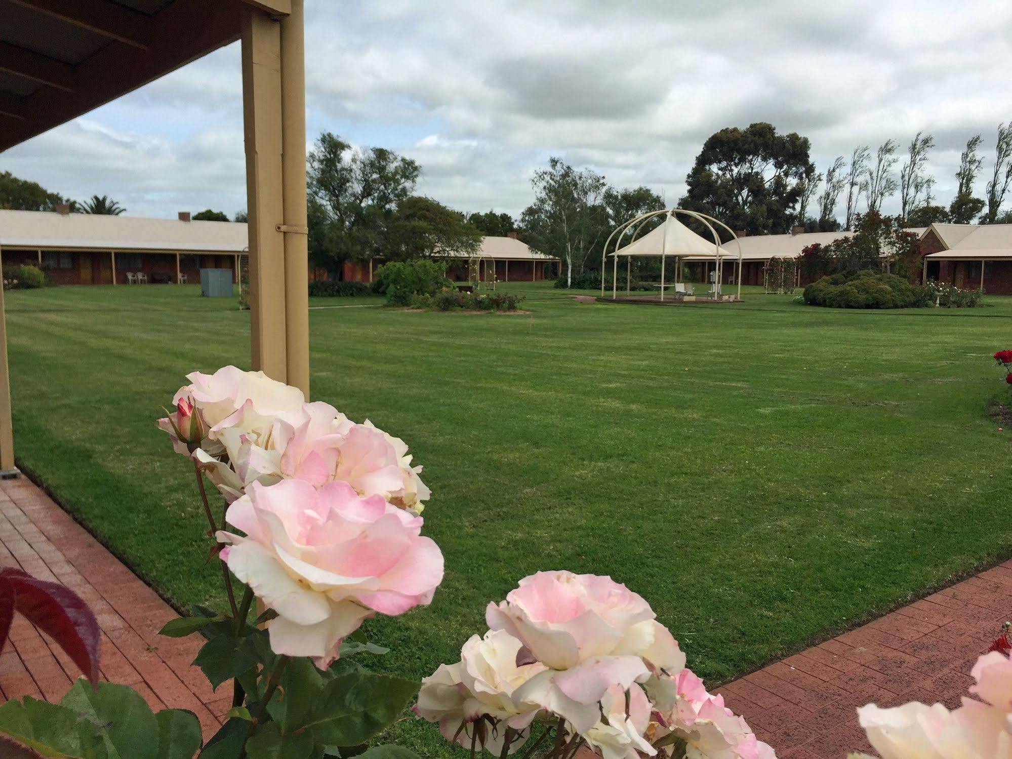 Coonawarra Place Motor Inn Kültér fotó