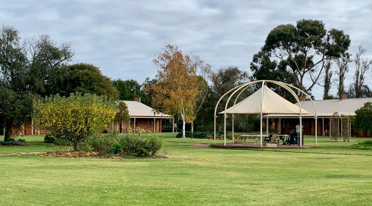 Coonawarra Place Motor Inn Kültér fotó